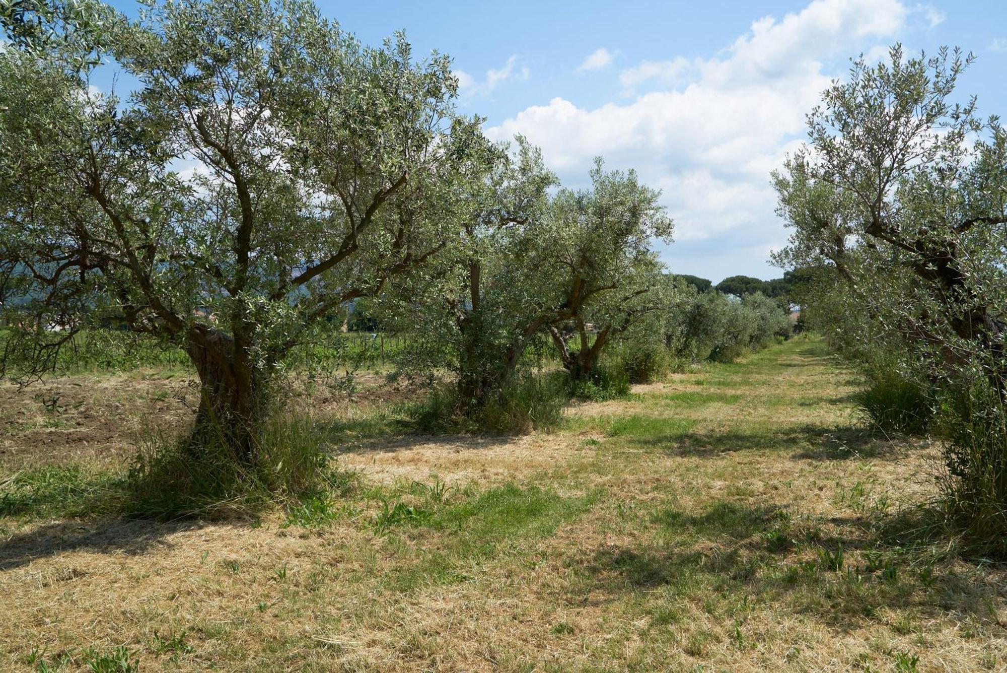 Cavalletti Séjour à la ferme *