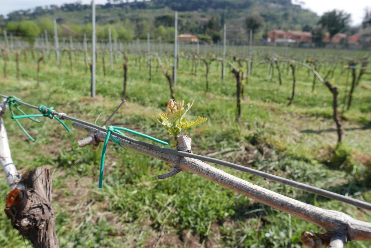 Séjour à la ferme Cavalletti *