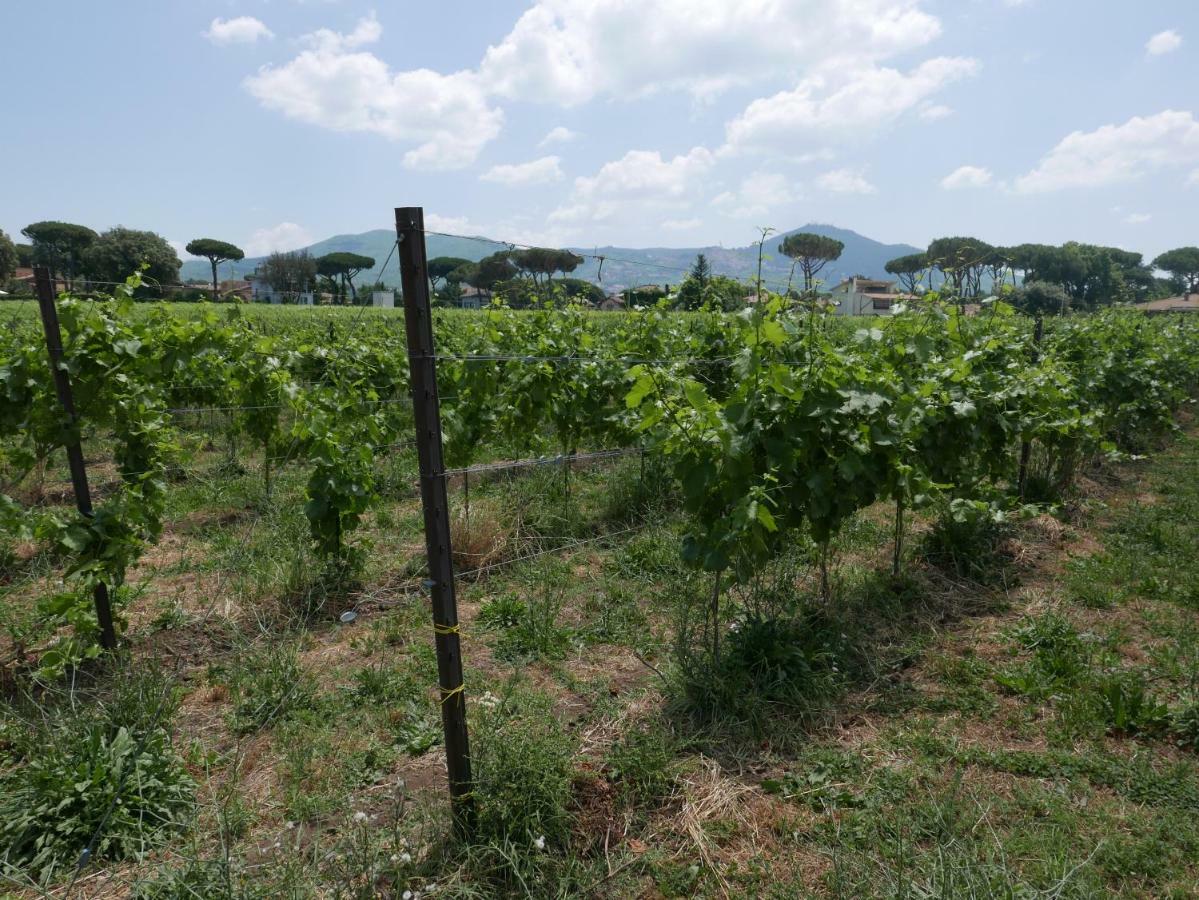 Cavalletti Séjour à la ferme *