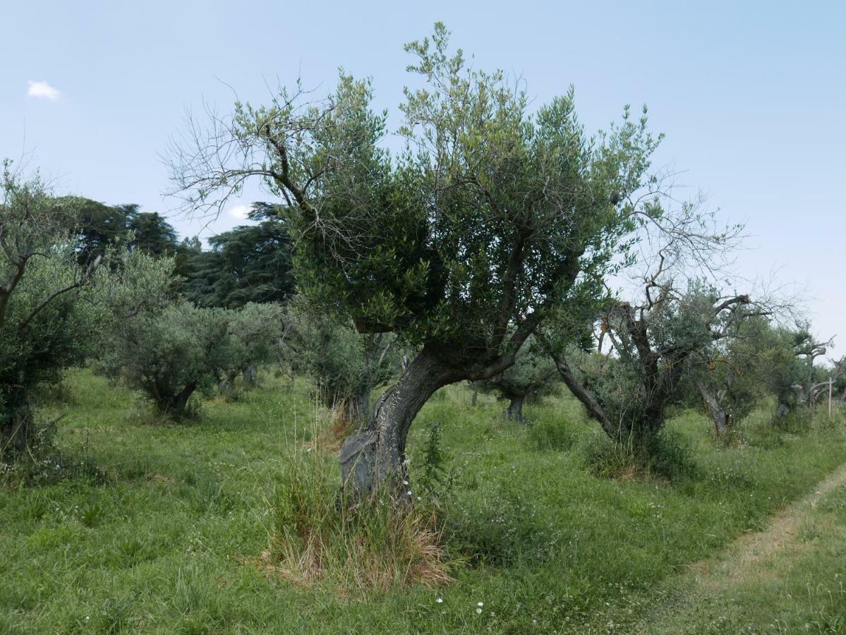 Séjour à la ferme Cavalletti *