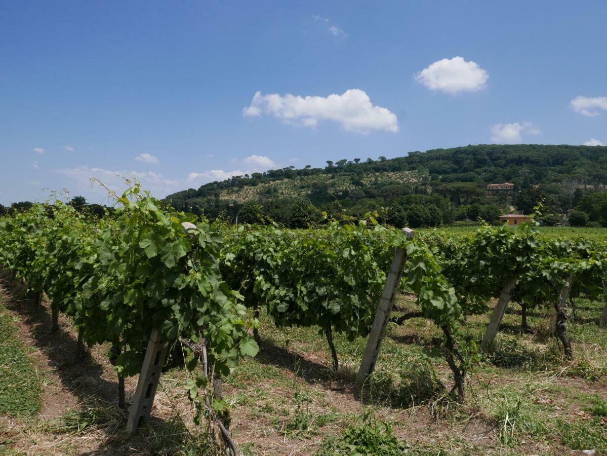 Cavalletti