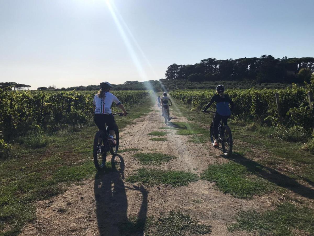 Cavalletti Séjour à la ferme Grottaferrata