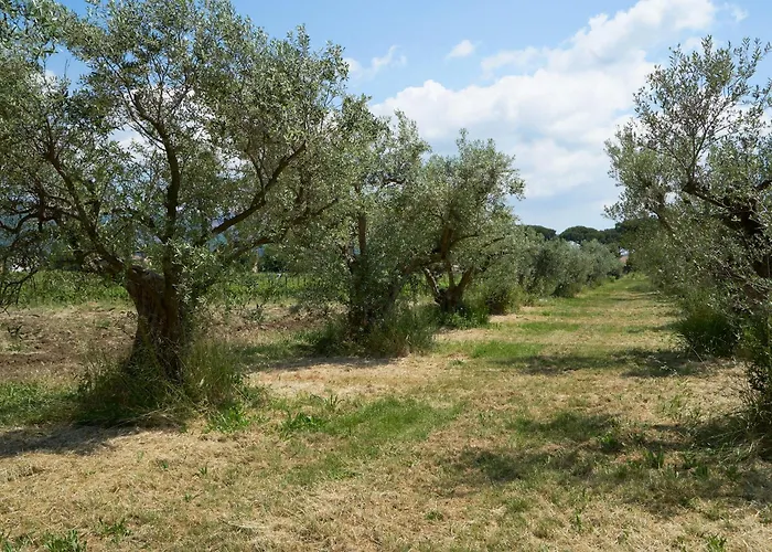 Villa Cavalletti