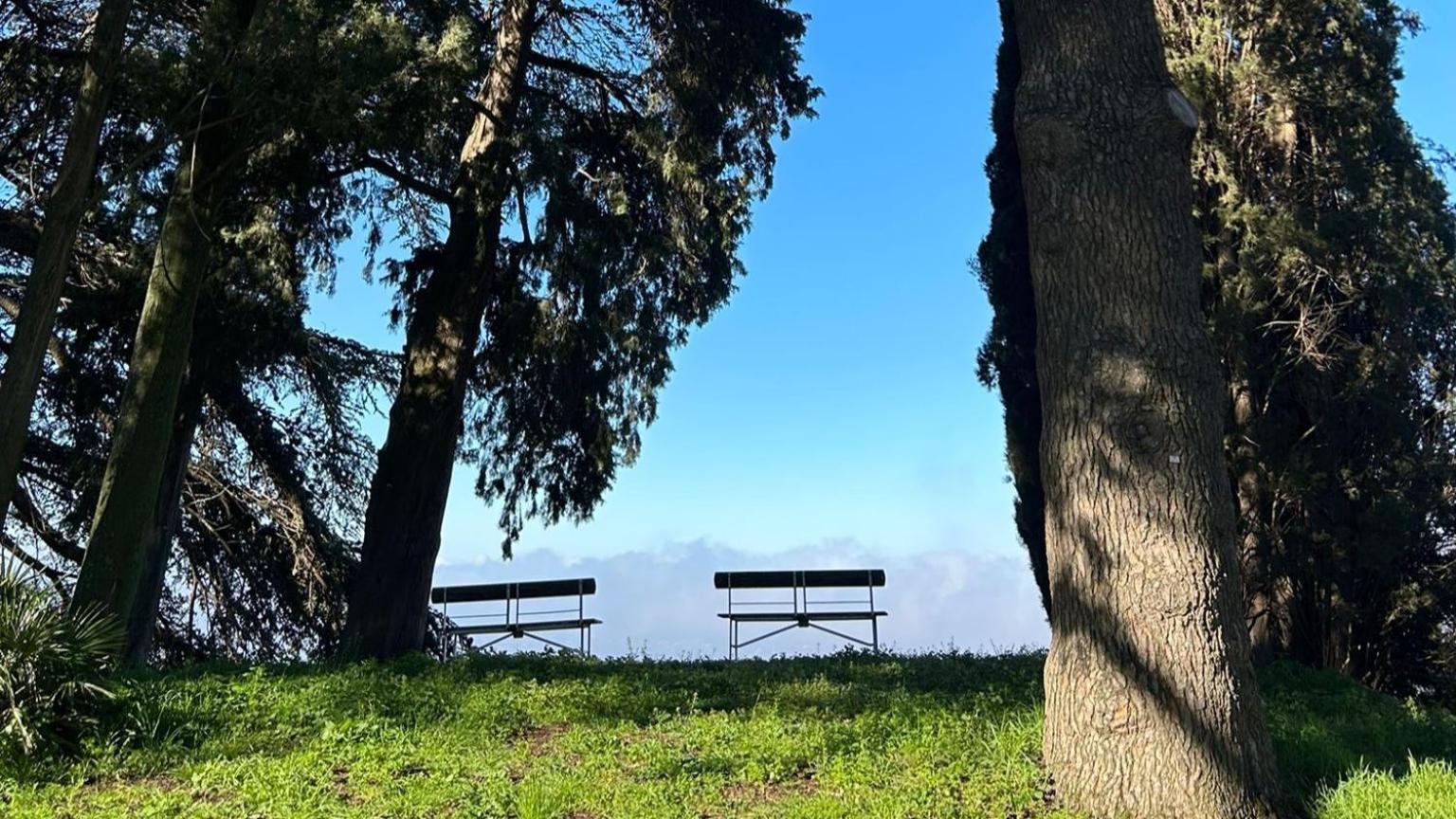Farm stay Cavalletti Grottaferrata