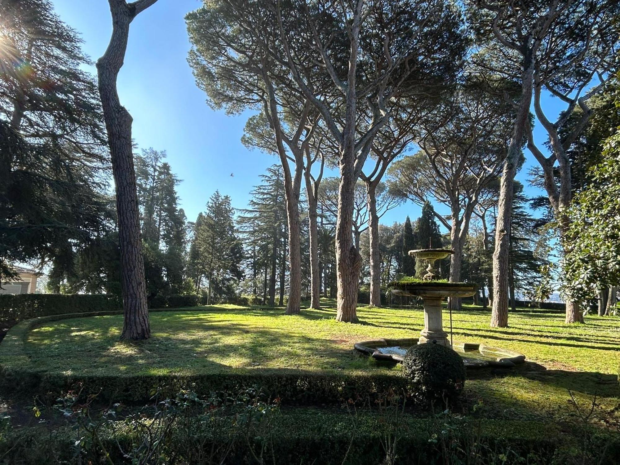 Cavalletti